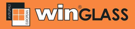 Smartwin     21  3