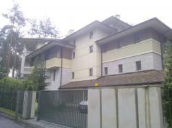 ����� ����� - ������