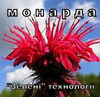 Монарда, ЧП